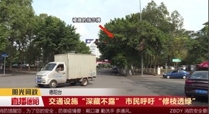 交通设施“深藏不露” 市民呼吁“修枝透绿”