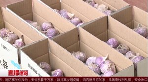 对冲疫情冲击 紫皮大蒜搭上“快销车”