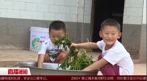 端午洗脚洗澡好 是习俗更是健康期盼