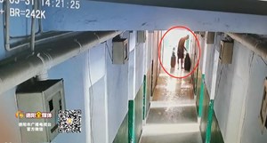 恐怖！德阳一男子吸毒致幻，在宿舍点液化气罐……