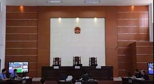 德阳一培训机构负责人猥亵8岁儿童，被判......