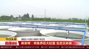 新发明：将鱼养在大缸里 生态又环保