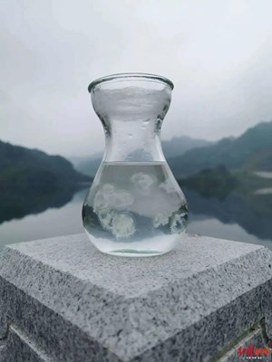 5亿多年前生物惊现德阳一水库……