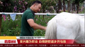 变兴趣为职业 白领辞职返乡开马场