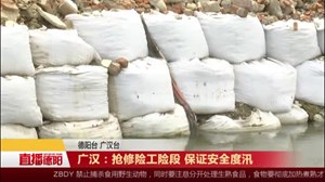 广汉：抢修险工险段 保证安全度汛