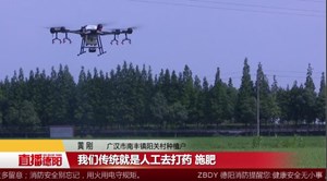 水稻夏管忙 无人机来助力