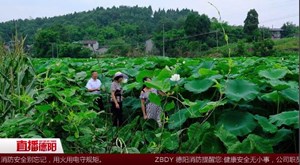 罗江：优化农村产业结构 促增收助发展