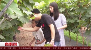 体验采摘乐趣 分享丰收喜悦