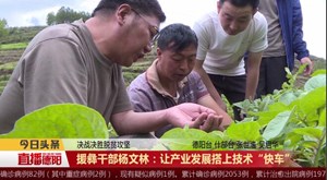 援彝干部杨文林：让产业发展搭上技术“快车”