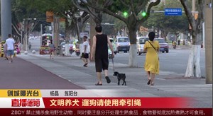 文明养犬 遛狗请使用牵引绳