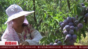 中江：“李果果”鼓圆了“钱袋袋”