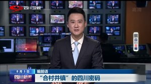 四川新闻丨“合村并镇”的四川密码（1）：版图重塑 区域布局新动能
