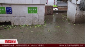 鼎虹市场“脏乱差” 期待旧貌换新颜