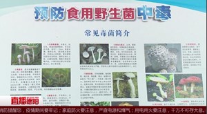 中江：多措并举 做好预防食用野生菌中毒防控工作