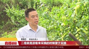 中江悦来：贵妃枣产业助农增收