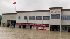 “家”被暴雨淹了，这群人却还在外面……