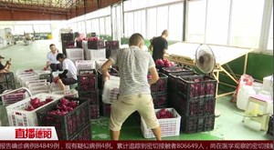 暖心！市民踊跃购买“受灾”水果