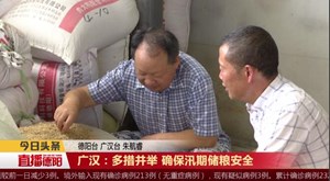 广汉：多措并举 确保汛期储粮安全