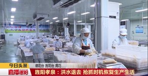 旌阳孝泉:洪水退去 抢抓时机恢复生产生活
