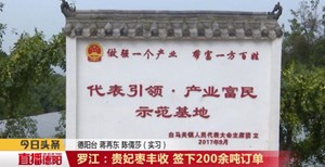 罗江：贵妃枣丰收 签下200余吨订单