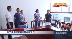 张万平调研督导市区创城工作