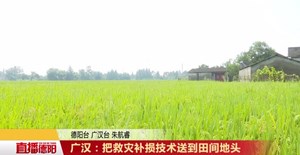 广汉：把救灾补损技术送到田间地头