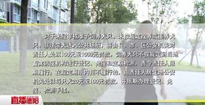 严查违规和不文明养犬 最高可处千元罚款