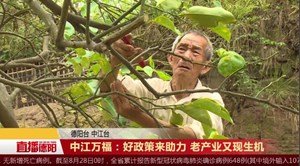 中江万福：好政策来助力 老产业又现生机