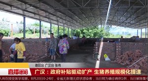 广汉：政府补贴驱动扩产 生猪养殖规模化提速