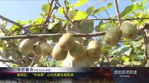 2020年9月5日新闻联播