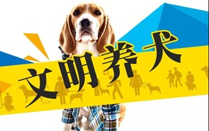 吵翻了！德阳市民热议城市养犬，你怎么看？
