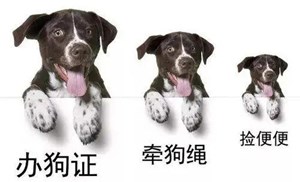 整治城市不文明养犬，德阳再出手！
