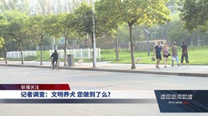 记者调查：文明养犬 您做到了么？