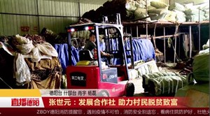 张世元：发展合作社 助力村民脱贫致富