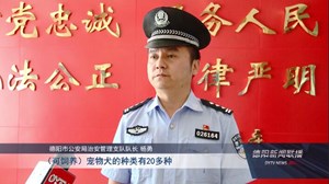 权威解读：违规不文明养犬 最高可处千元罚款
