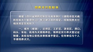 饲养犬只告知书