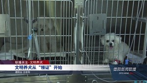 文明养犬从“领证”开始