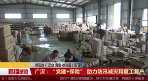 广汉：“党建+保险” 助力防汛减灾和复工复产