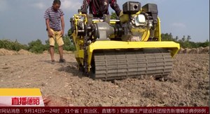 农机小黄车 为大蒜播种按下“快进键”