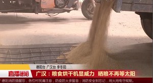 广汉：粮食烘干机显威力  晒粮不再等太阳