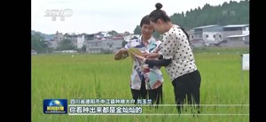 鼓掌！中江的这件喜事，引来了央视关注！