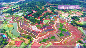 门票免费送！不限量！德阳1000亩玫瑰花海，100万株欧洲月季9.28惊艳迎客！