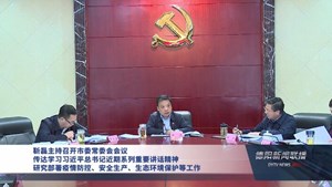 靳磊主持召开市委常委会会议 传达学习习近平总书记近期系列重要讲话精神 研究部署疫情防控、安全生产、生态环境保护等工作