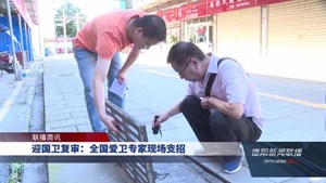 迎国卫复审：全国爱卫专家现场支招