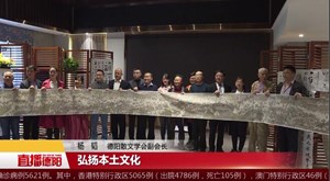 60多位文化大咖汇聚 共赏“二叶”文化