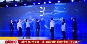 助力外贸企业发展 “出口退税融资担保资金池”正式运行