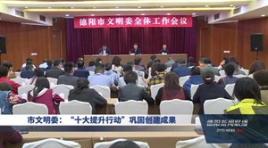 市文明委：“十大提升行动”巩固创建成果