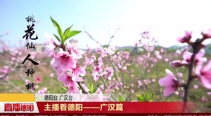 主播看德阳——广汉篇