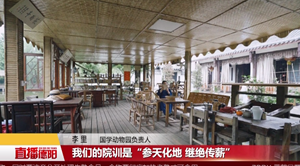 主播看德阳——什邡篇