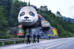 抓获87人，德阳警方周密部署确保群众平安祥和欢度佳节